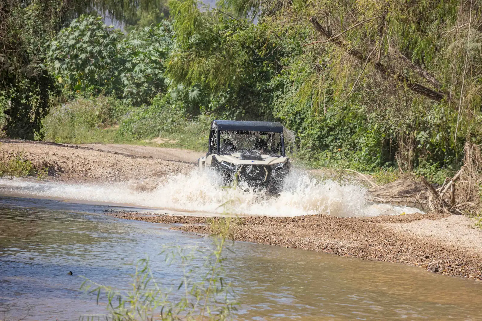 Images of RZR's for Fortuna de Vallejo Rout